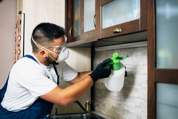 Best Pest Control for Restaurants  in Valley Center, KS