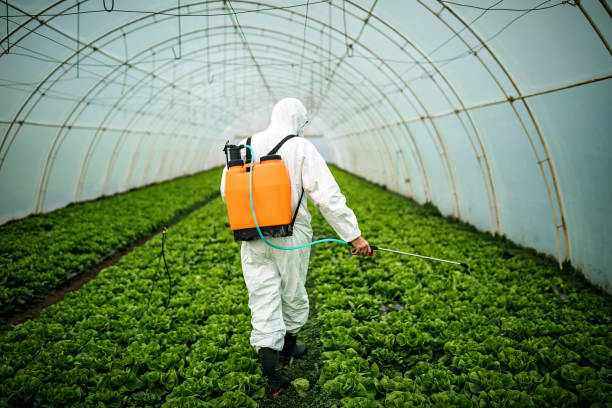 Pest Prevention Services in Valley Center, KS