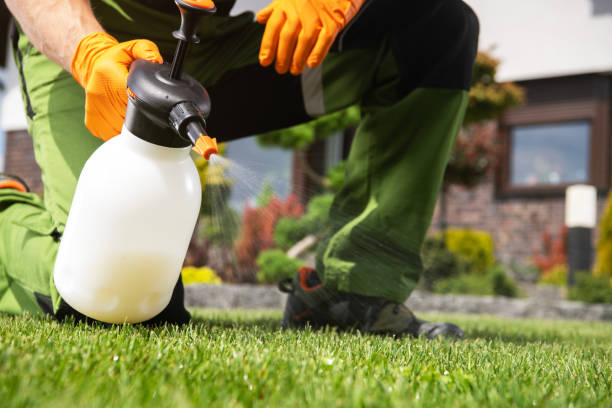 Best Exterminator Services  in Valley Center, KS