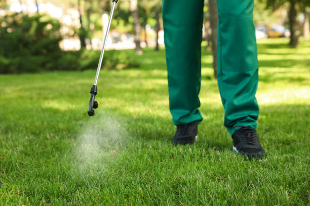 Trusted Valley Center, KS Pest Control Experts