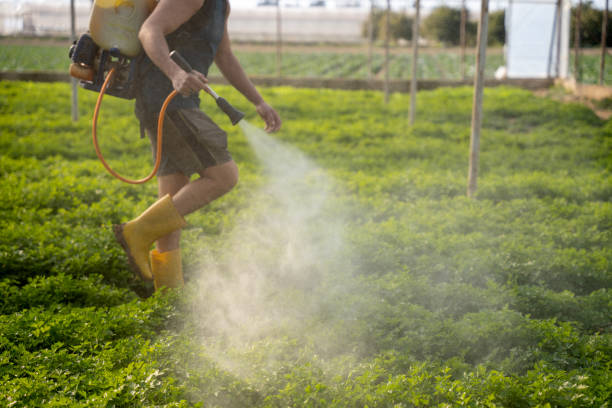 Insect Control in Valley Center, KS