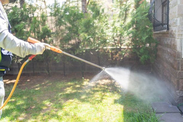 Best Flea Control Services  in Valley Center, KS
