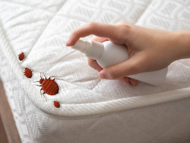 Best Best Pest Control Companies  in Valley Center, KS