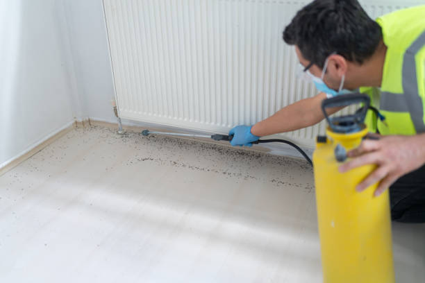 Best Wasp Removal Services  in Valley Center, KS