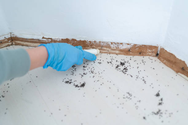 Best Affordable Pest Control Services  in Valley Center, KS