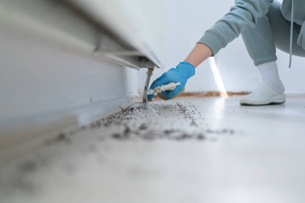 Best Emergency Pest Control  in Valley Center, KS